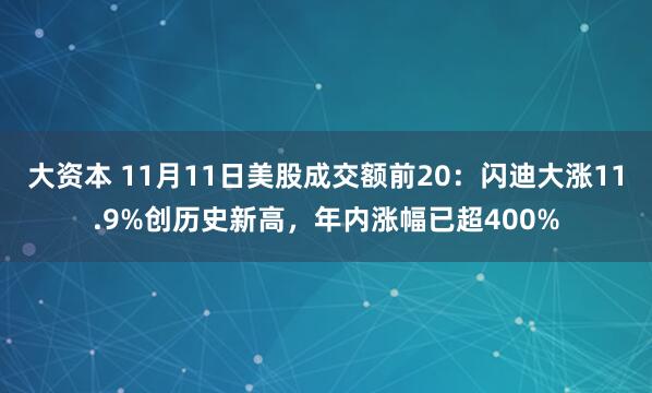 大资本 11月11日美股成交额前20：闪迪大涨11.9%创历史新高，年内涨幅已超400%