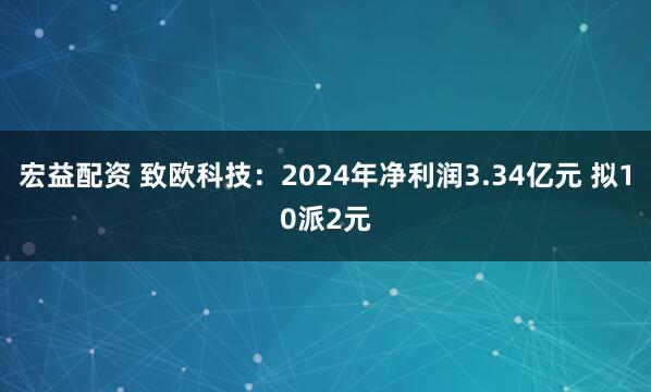 宏益配资 致欧科技：2024年净利润3.34亿元 拟10派2元