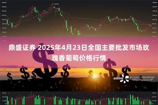 鼎盛证券 2025年4月23日全国主要批发市场玫瑰香葡萄价格行情