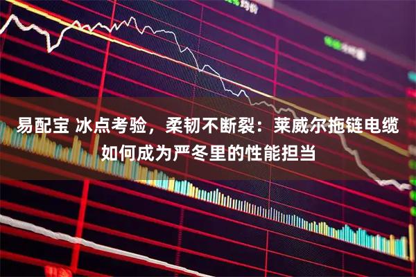 易配宝 冰点考验，柔韧不断裂：莱威尔拖链电缆如何成为严冬里的性能担当