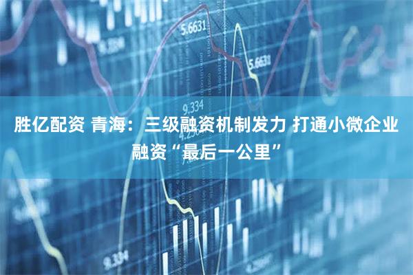 胜亿配资 青海：三级融资机制发力 打通小微企业融资“最后一公里”