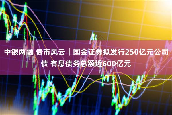 中银两融 债市风云｜国金证券拟发行250亿元公司债 有息债务总额近600亿元